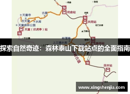 探索自然奇迹：森林泰山下载站点的全面指南