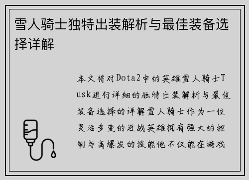 雪人骑士独特出装解析与最佳装备选择详解